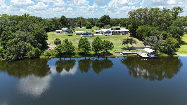 10893 SE 141 Avenue Rd, Ocklawaha, FL 32179 - photo 42