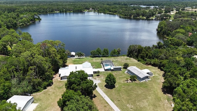 10893 SE 141 Avenue Rd, Ocklawaha, FL 32179 - photo 48