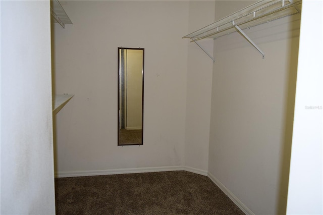 3904 NE 22nd St, Ocala, FL 34470 - photo 17