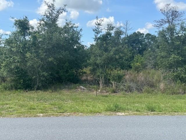 SW 110th, Ocala, FL 34476 - photo 3
