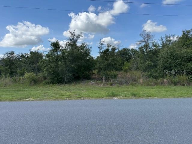 SW 110th, Ocala, FL 34476 - photo 4