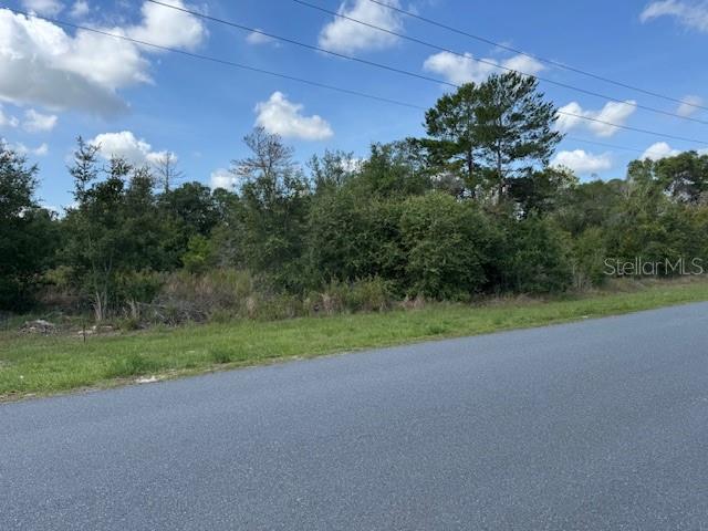 SW 110th, Ocala, FL 34476 - photo 5