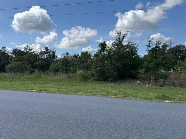 SW 110th, Ocala, FL 34476 - photo 6