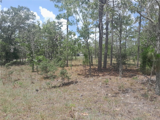 TBD NE 7th Pl, Williston, FL 32696 - photo 2