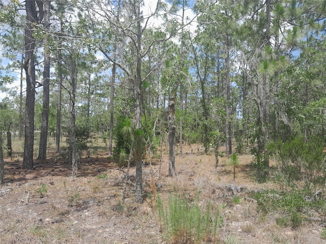 TBD NE 7th Pl, Williston, FL 32696 - photo 3