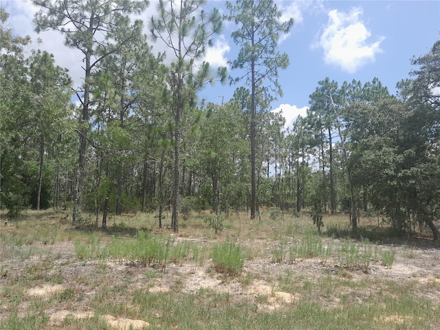 TBD NE 7th Pl, Williston, FL 32696 - photo 4