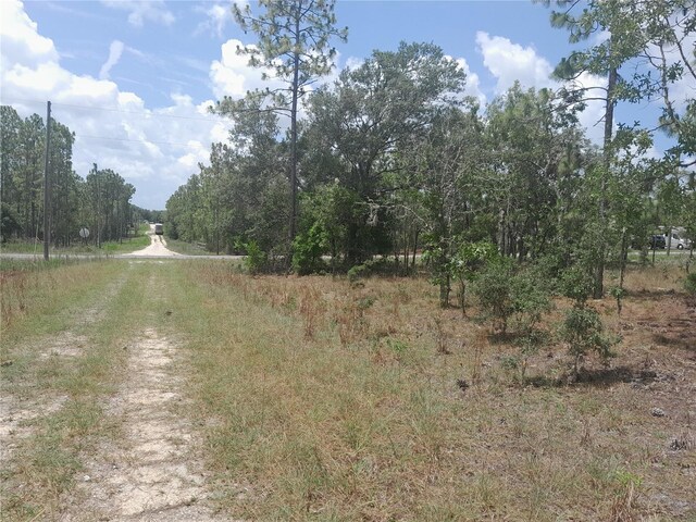 TBD NE 7th Pl, Williston, FL 32696 - photo 5