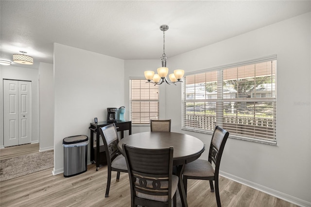 9735 SW 96th St, Ocala, FL 34481 - dining space with a chandelier, light wood-style floors, and plenty of natural light
