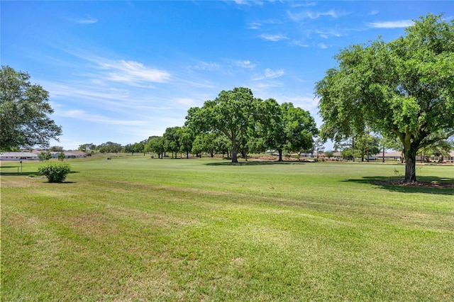 9735 SW 96th St, Ocala, FL 34481 - view of grassy yard