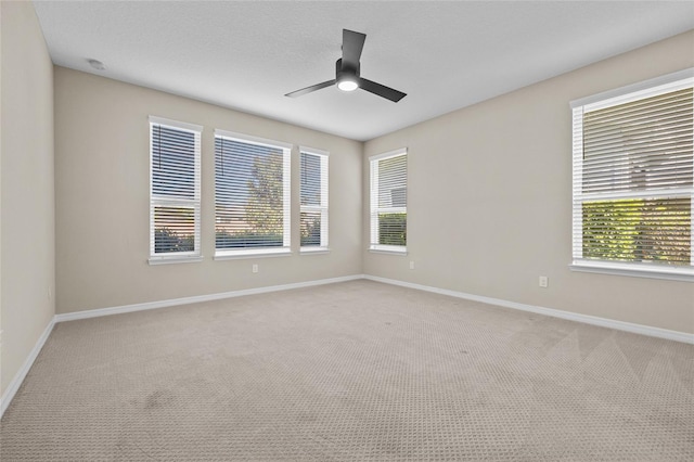4232 NW 56th Ct, Ocala, FL 34482 - photo 16