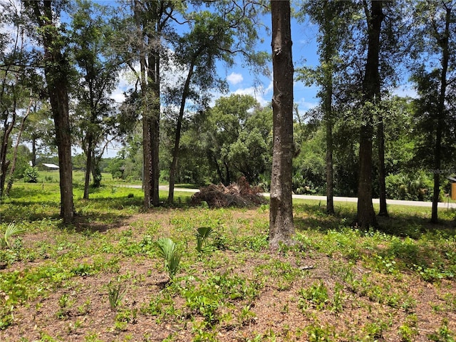 517 N Croft Ave, Inverness, FL 34453 - photo 1