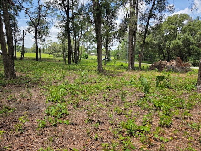 517 N Croft Ave, Inverness, FL 34453 - photo 2