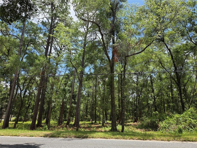 517 N Croft Ave, Inverness, FL 34453 - photo 6