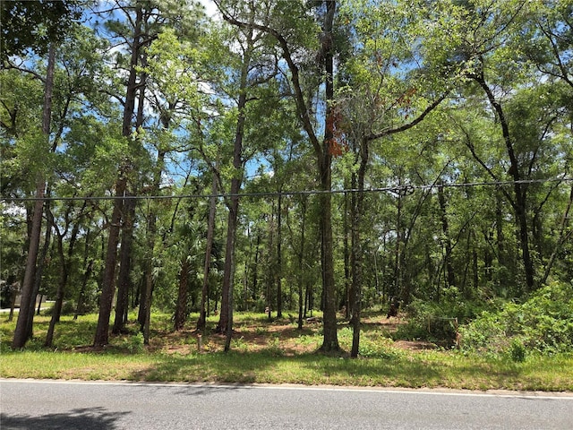 517 N Croft Ave, Inverness, FL 34453 - photo 7