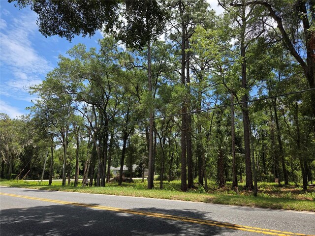 517 N Croft Ave, Inverness, FL 34453 - photo 9