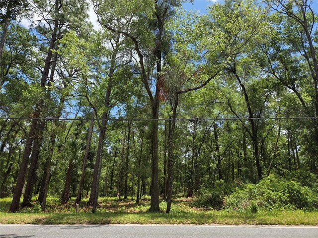 517 N Croft Ave, Inverness, FL 34453 - photo 10