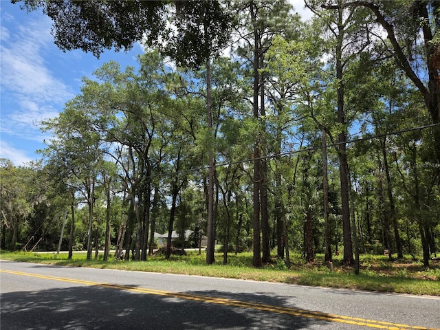 517 N Croft Ave, Inverness, FL 34453 - photo 11