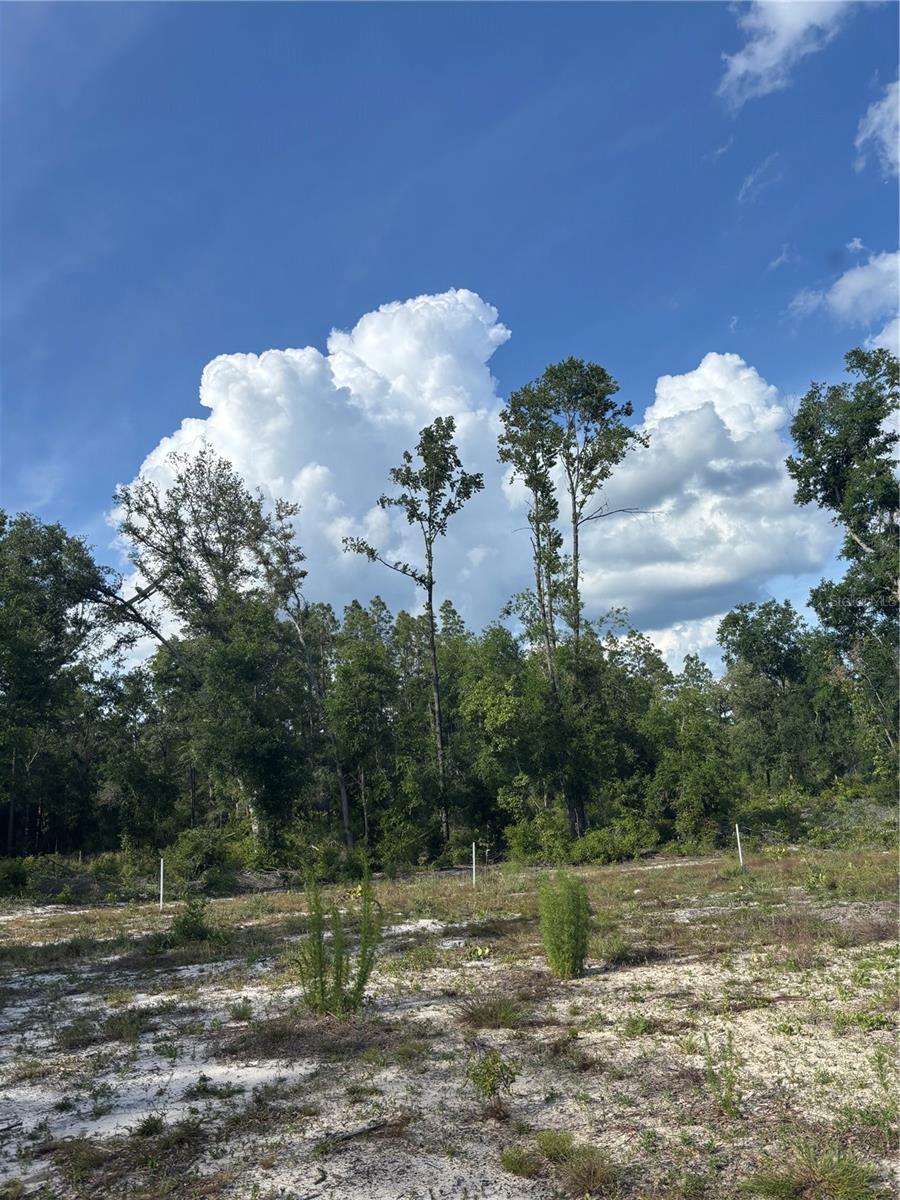 NW 30th St, Bell, FL 32619 - photo 2