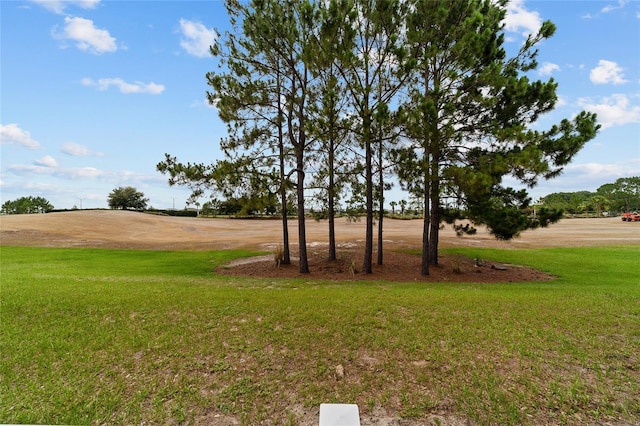 8611 SW 83rd Loop, Ocala, FL 34481 - photo 60