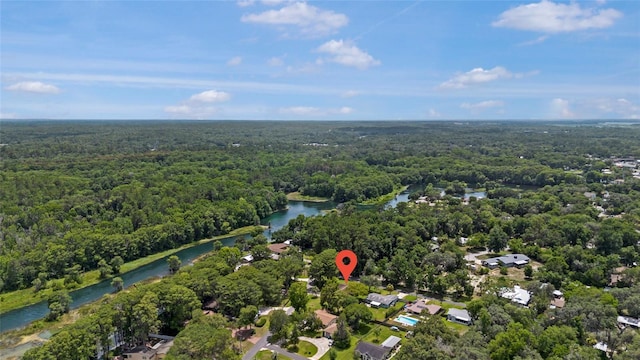 12178 Palmetto Way, Dunnellon, FL 34432 - aerial view of a forest and a nearby body of water