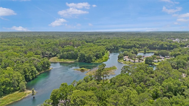 12178 Palmetto Way, Dunnellon, FL 34432 - bird's eye view of a forest and a nearby body of water
