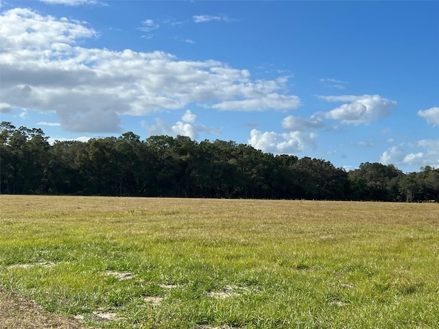 TBD SE 74th Lane Rd, Ocklawaha, FL 32179 - photo 1