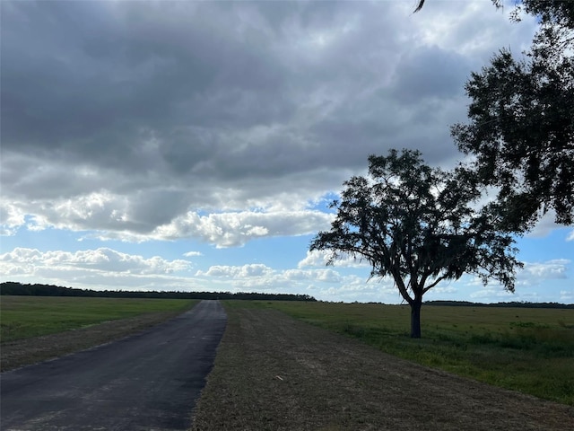 TBD SE 74th Lane Rd, Ocklawaha, FL 32179 - photo 2