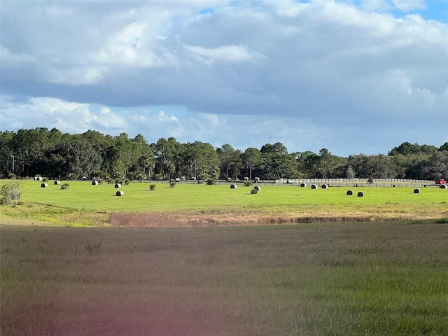 TBD SE 74th Lane Rd, Ocklawaha, FL 32179 - photo 3
