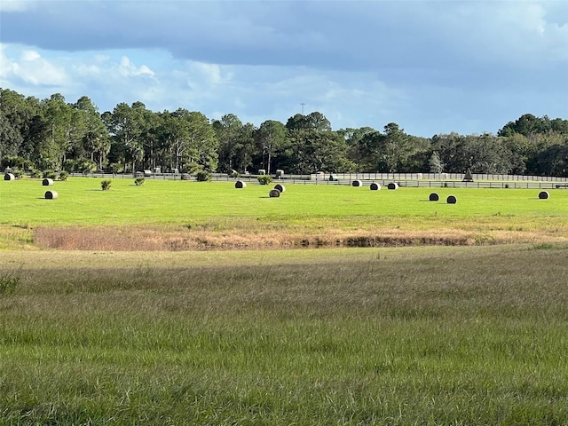 TBD SE 74th Lane Rd, Ocklawaha, FL 32179 - photo 4