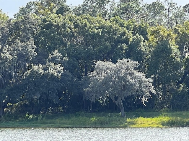 TBD SE 74th Lane Rd, Ocklawaha, FL 32179 - photo 5