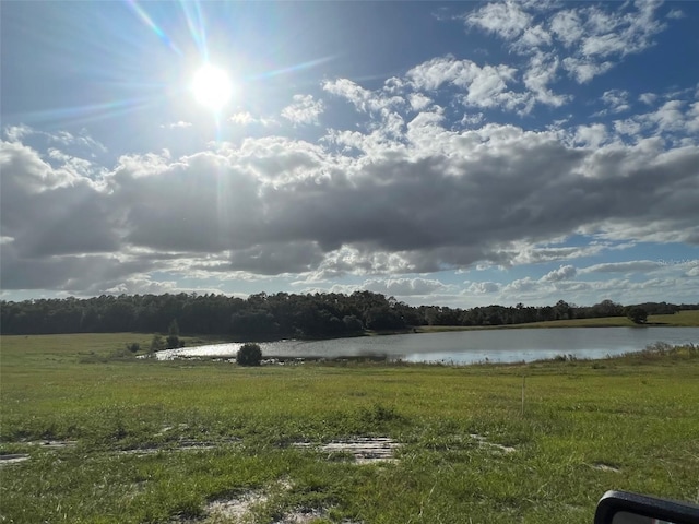 TBD SE 74th Lane Rd, Ocklawaha, FL 32179 - photo 9