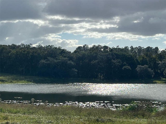 TBD SE 74th Lane Rd, Ocklawaha, FL 32179 - photo 12