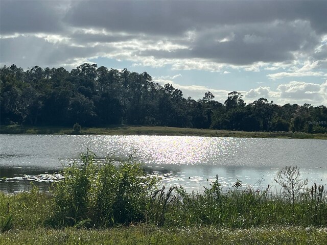 TBD SE 74th Lane Rd, Ocklawaha, FL 32179 - photo 14