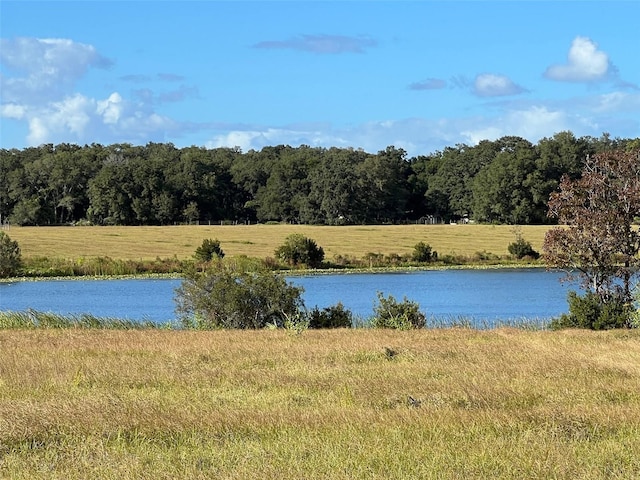 TBD SE 74th Lane Rd, Ocklawaha, FL 32179 - photo 15