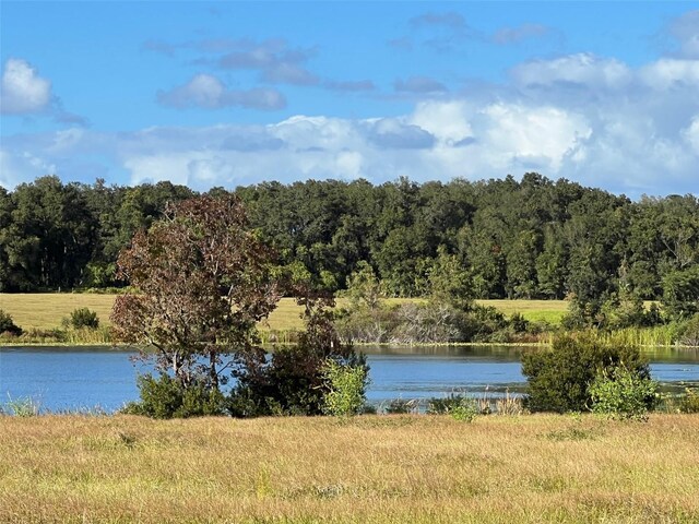 TBD SE 74th Lane Rd, Ocklawaha, FL 32179 - photo 16