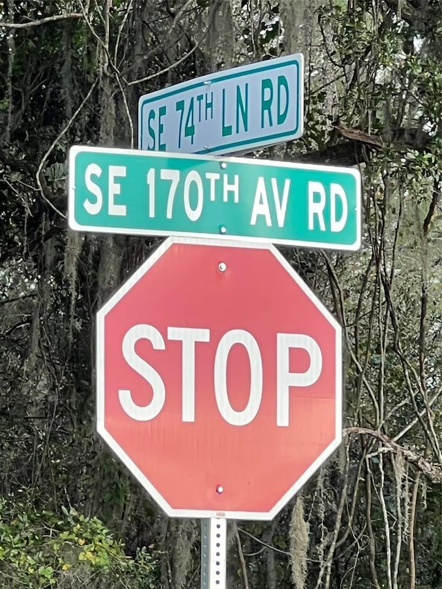 TBD SE 74th Lane Rd, Ocklawaha, FL 32179 - photo 17