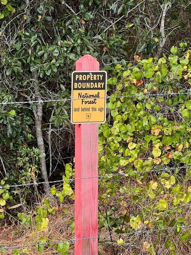 TBD SE 74th Lane Rd, Ocklawaha, FL 32179 - photo 18