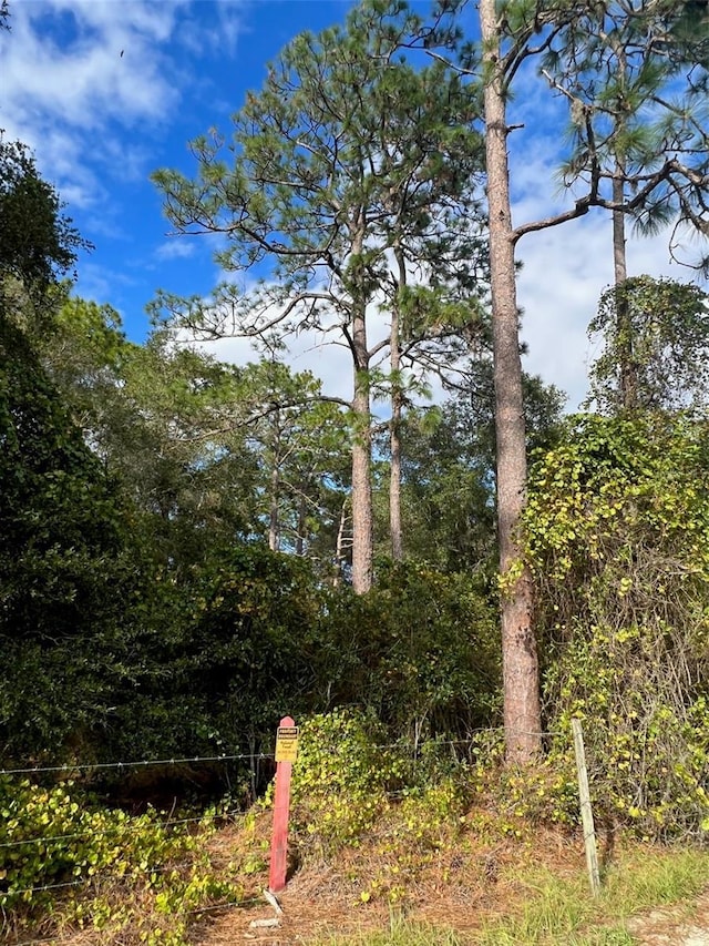 TBD SE 74th Lane Rd, Ocklawaha, FL 32179 - photo 19