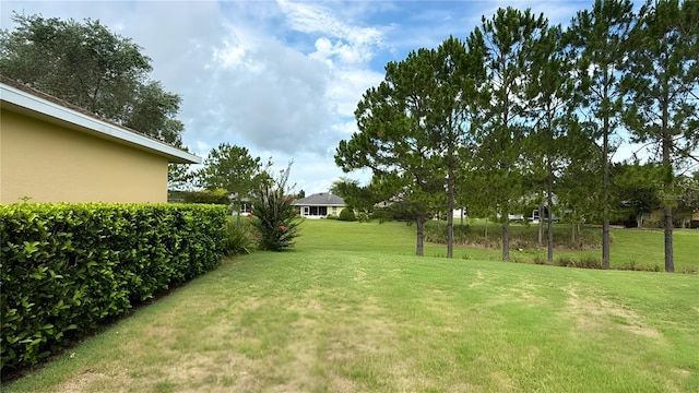 9490 SW 94th Ct, Ocala, FL 34481 - view of green lawn