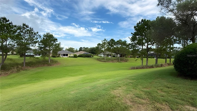9490 SW 94th Ct, Ocala, FL 34481 - view of green lawn
