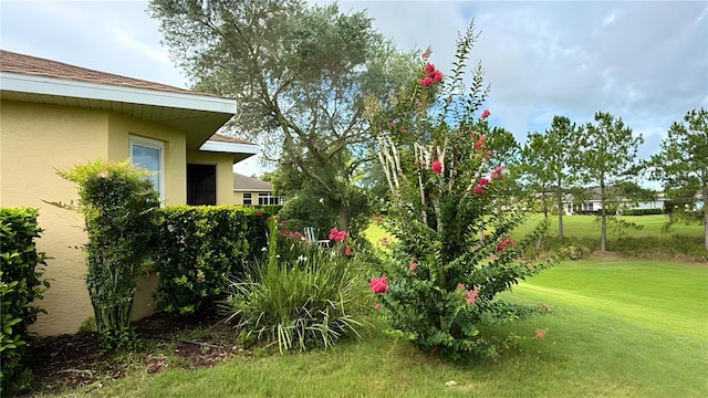 9490 SW 94th Ct, Ocala, FL 34481 - view of grassy yard