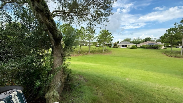 9490 SW 94th Ct, Ocala, FL 34481 - view of grassy yard