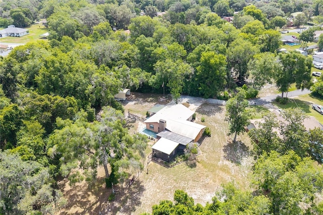 206 N Dundee Way, Inverness, FL 34450 - aerial view of a forest