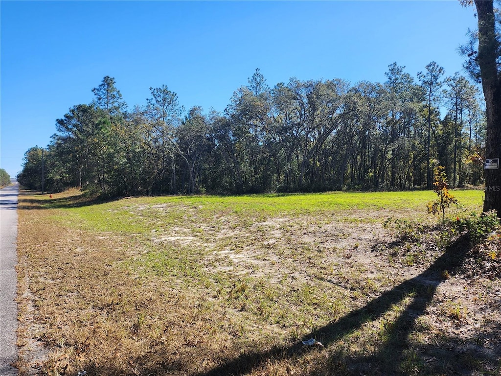 TBD SW 137th St, Ocala, FL 34473