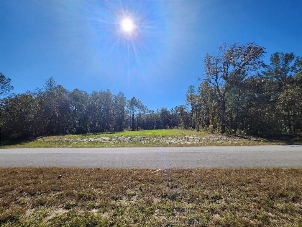 TBD SW 137th St, Ocala, FL 34473