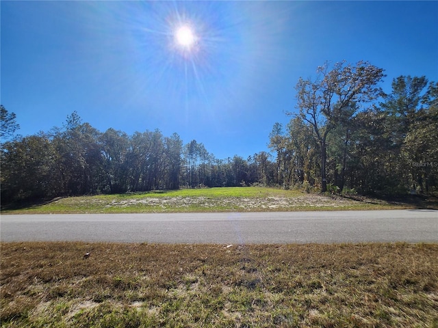 TBD SW 137th St, Ocala, FL 34473