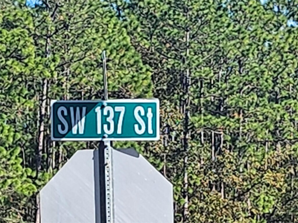 TBD SW 137th St, Ocala, FL 34473