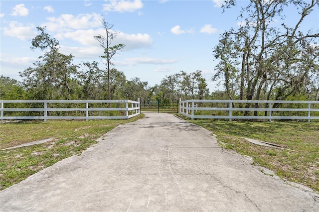10230 289th St E, Myakka City, FL 34251 - view of concrete driveway
