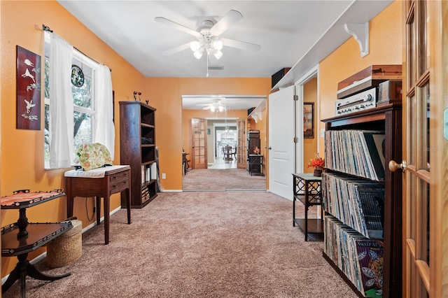 10230 289th St E, Myakka City, FL 34251 - hall with carpet and baseboards