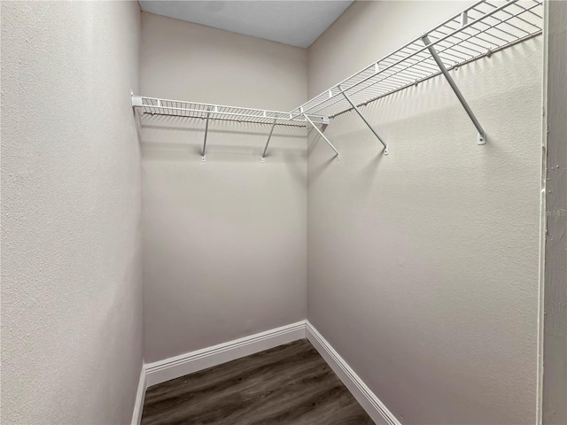 5 Bahia Circle Pl, Ocala, FL 34472 - walk in closet with wood finished floors